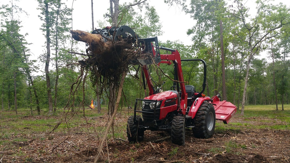 Stump put up good fight resize.jpg