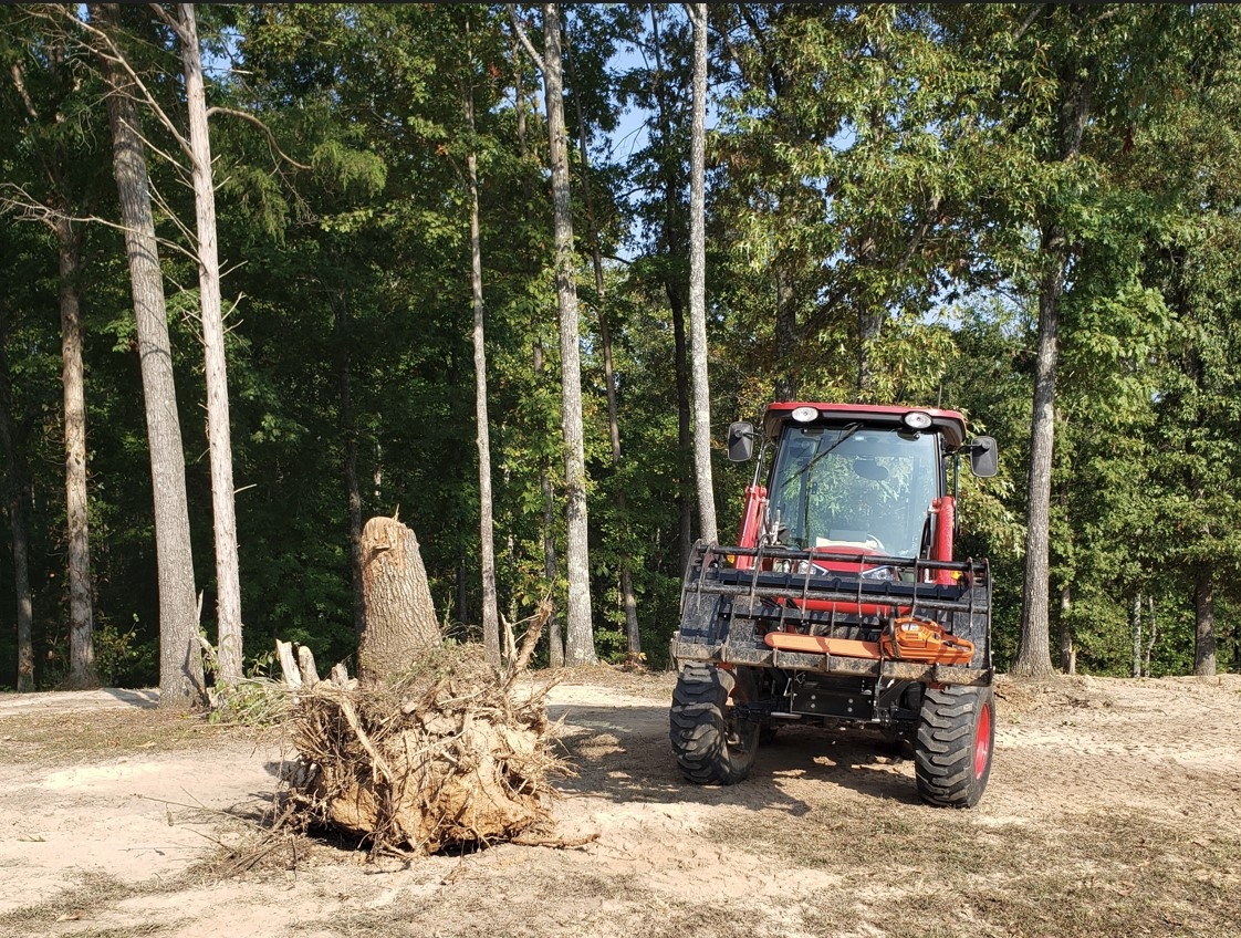 Stump removal.jpg