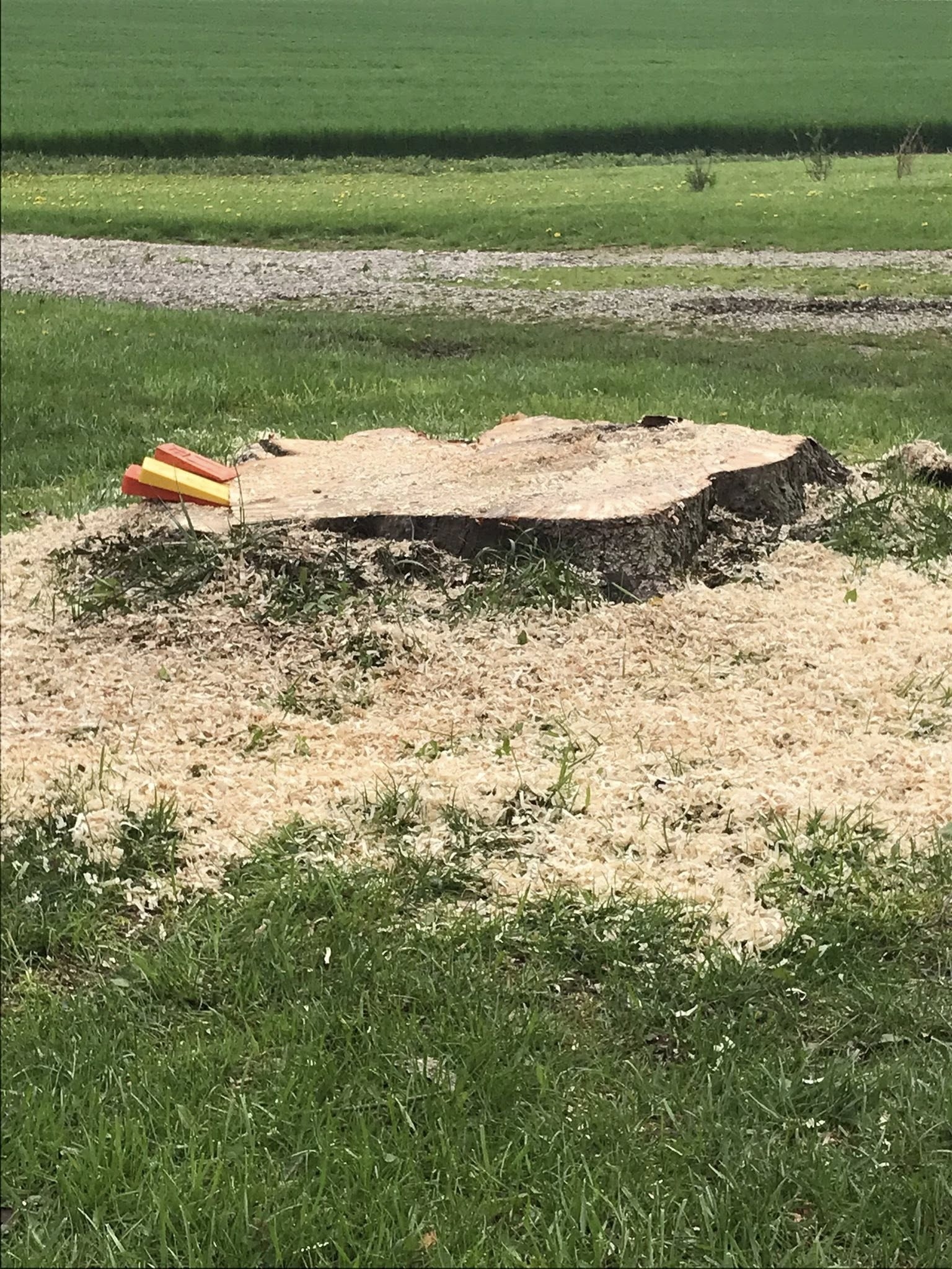 stump255.jpg