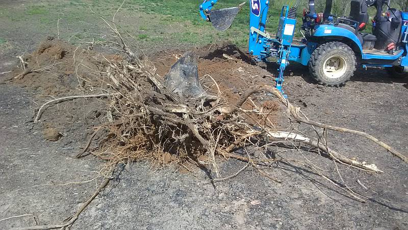 https://www.tractorbynet.com/forums/attachments/stumped2b-jpg.694538/