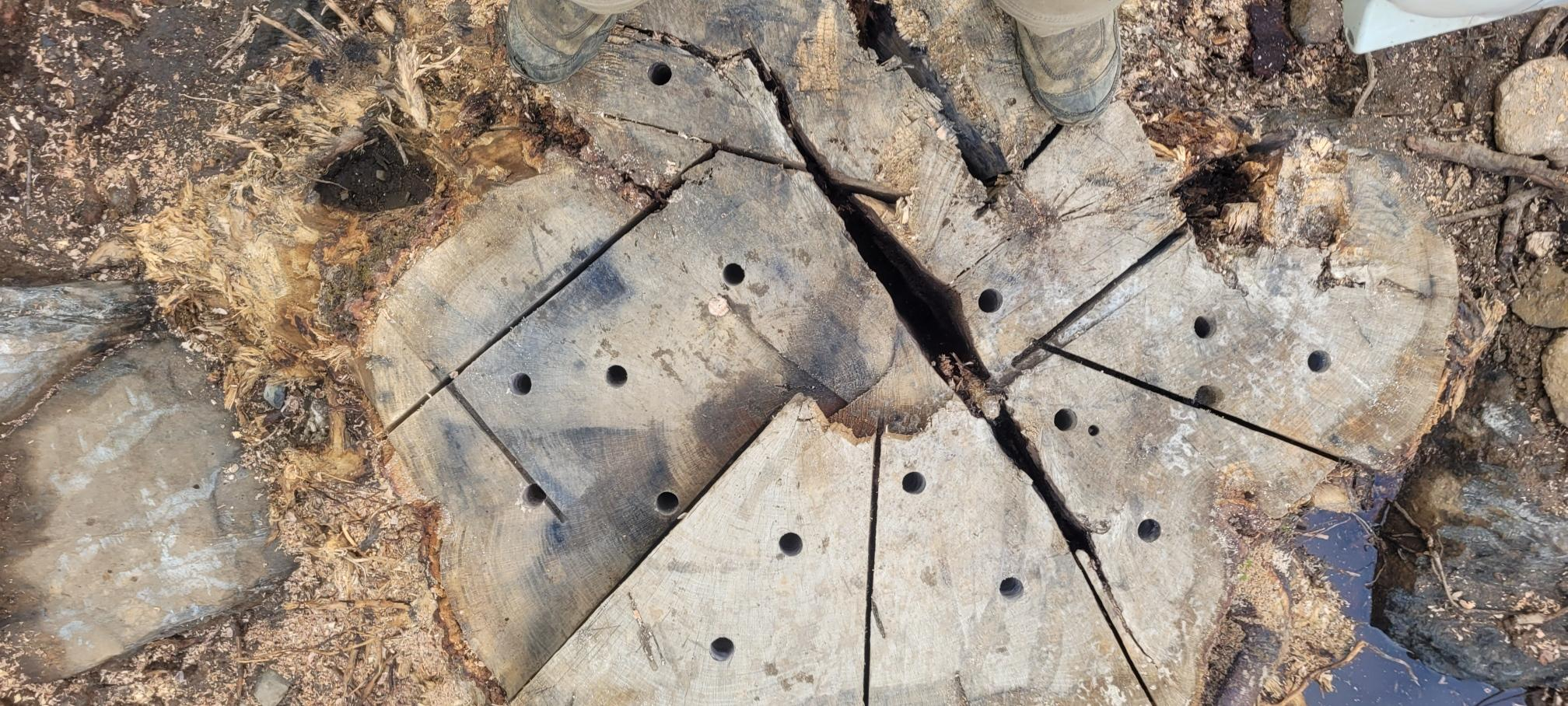 Stumpholes.jpg