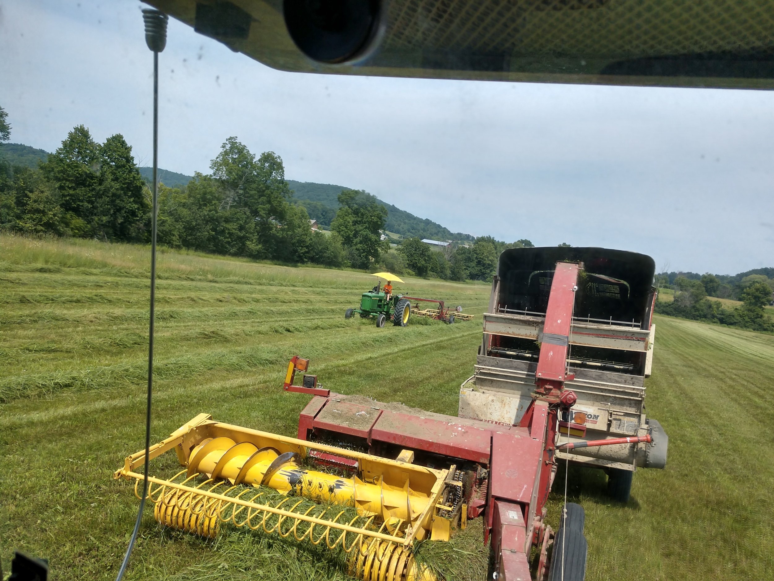 summer hay 2.jpg