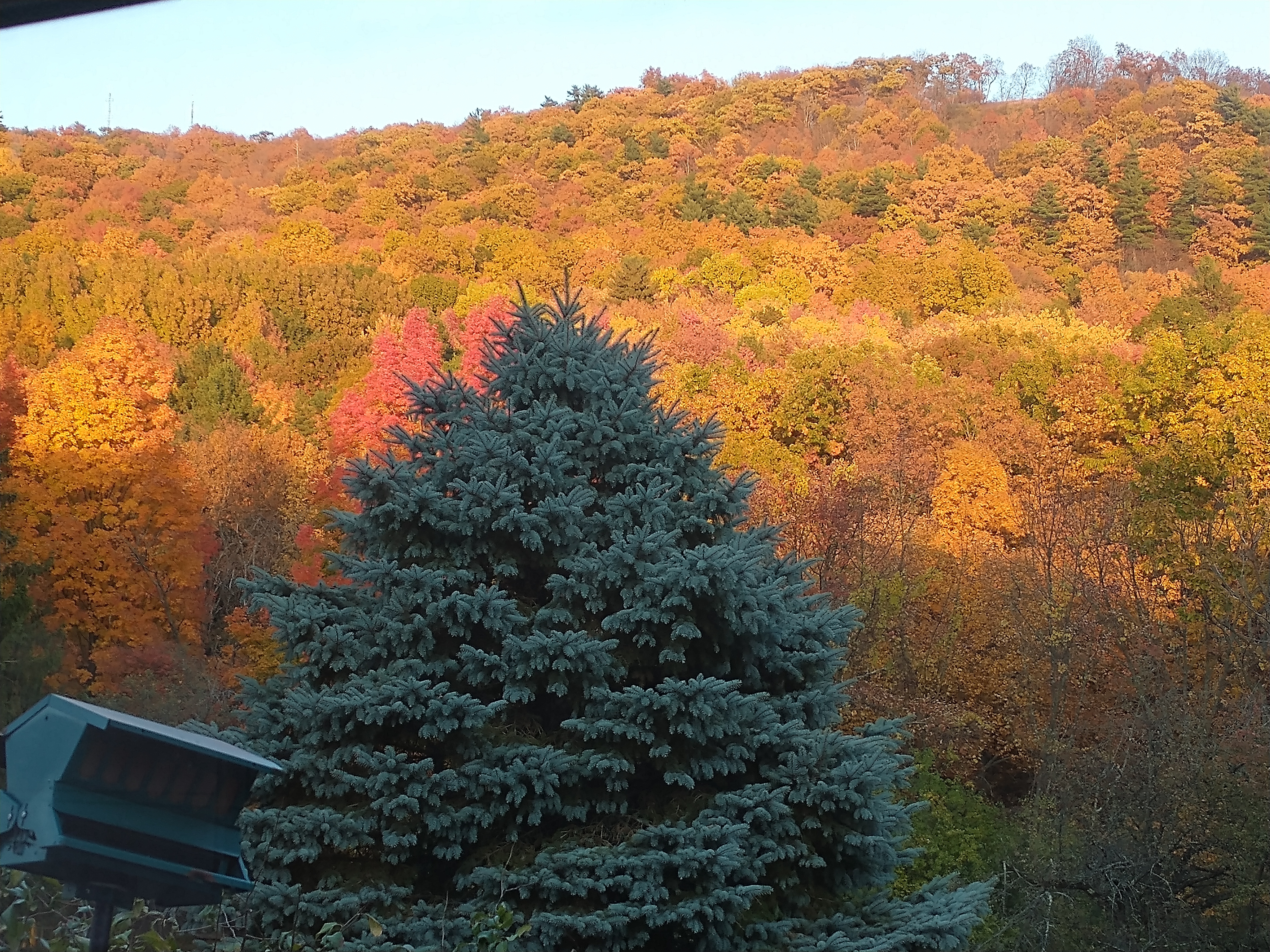 sunset 10-22-24.jpg