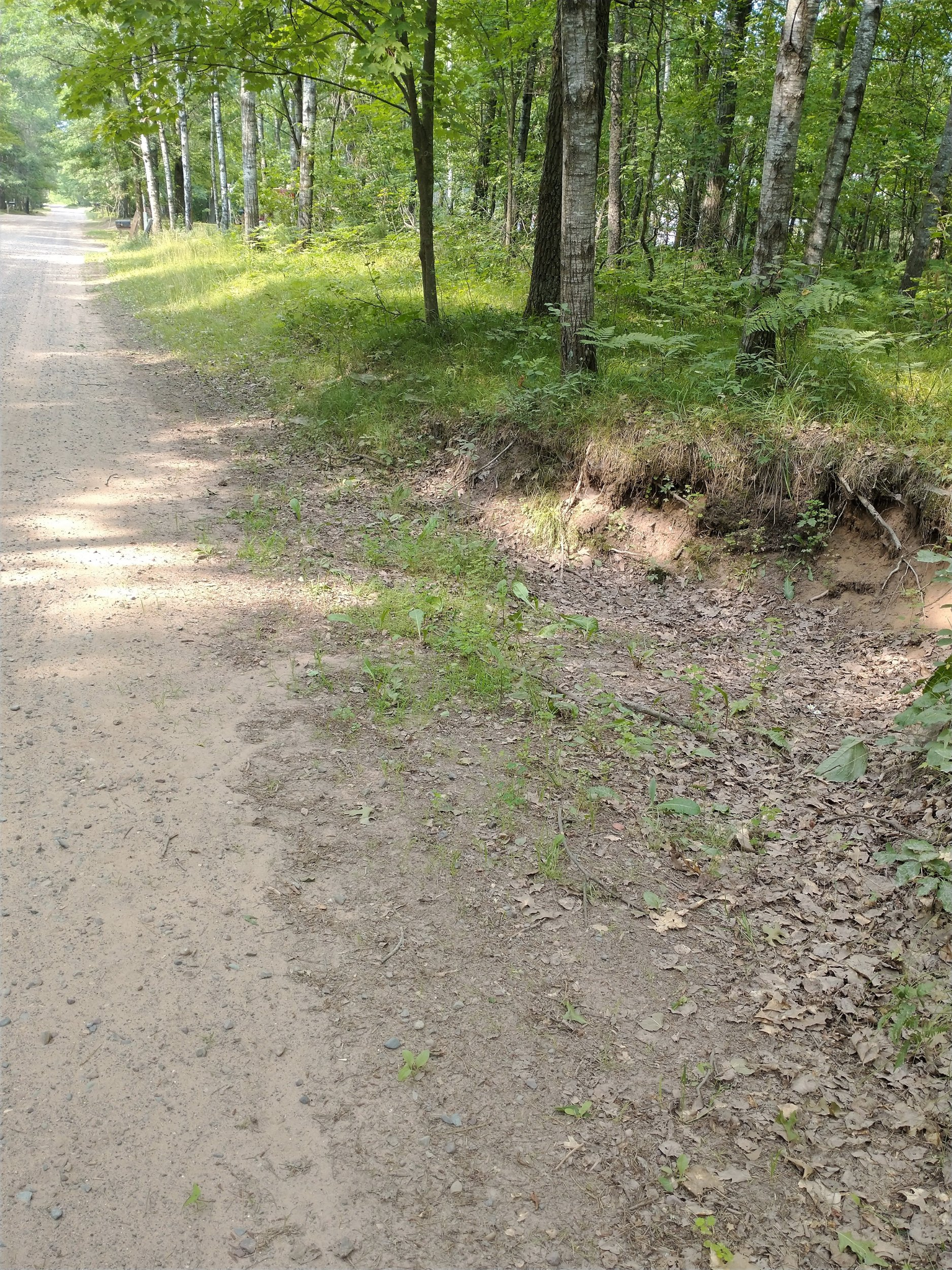 Swale 5b.jpg