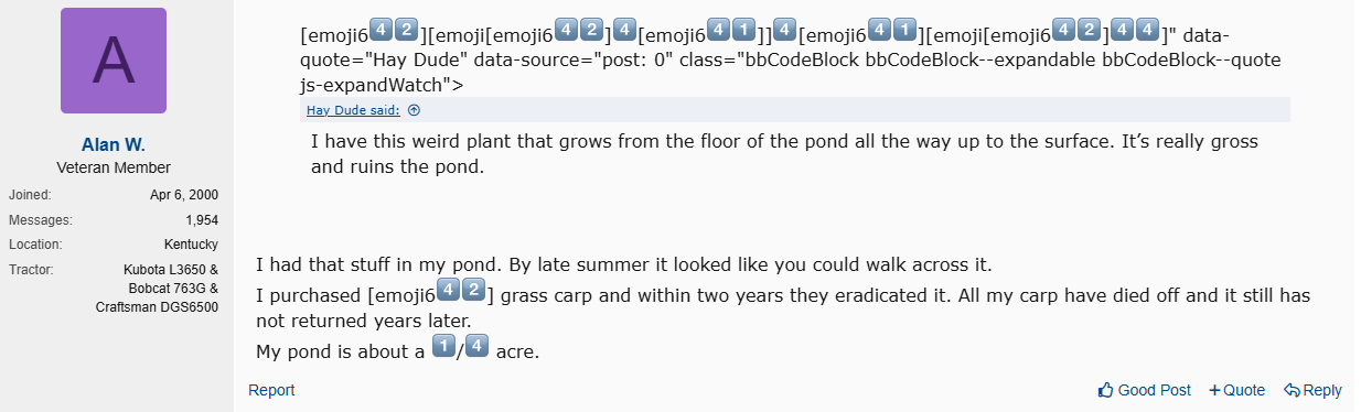 TBN_weird_post.png