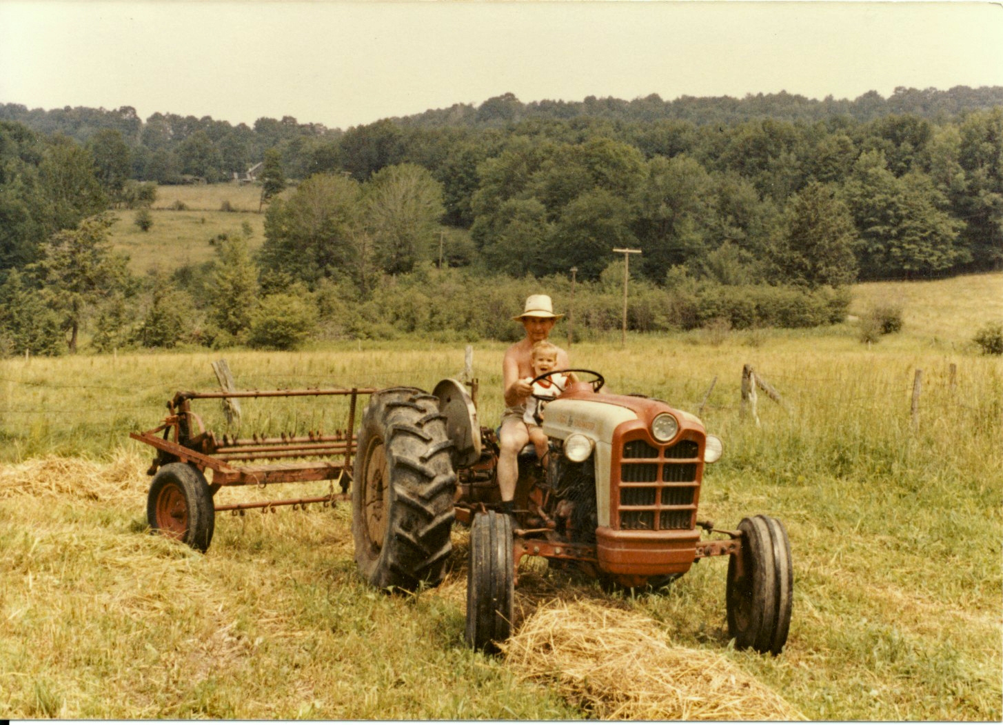 Tedding Hay Father,Michael.jpg