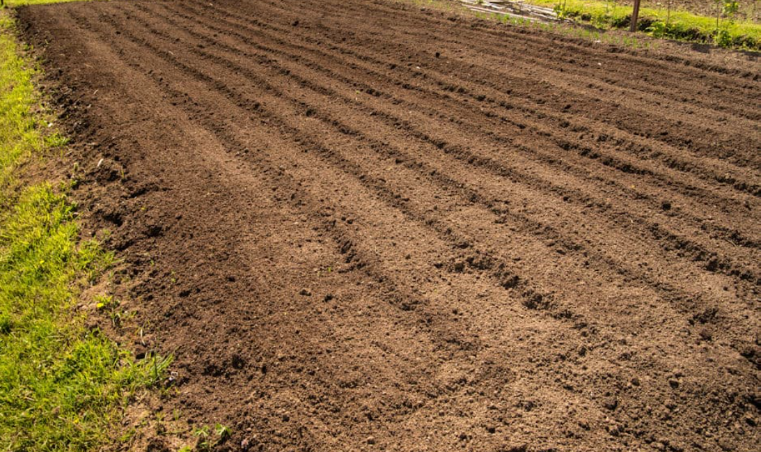 Tilled.png