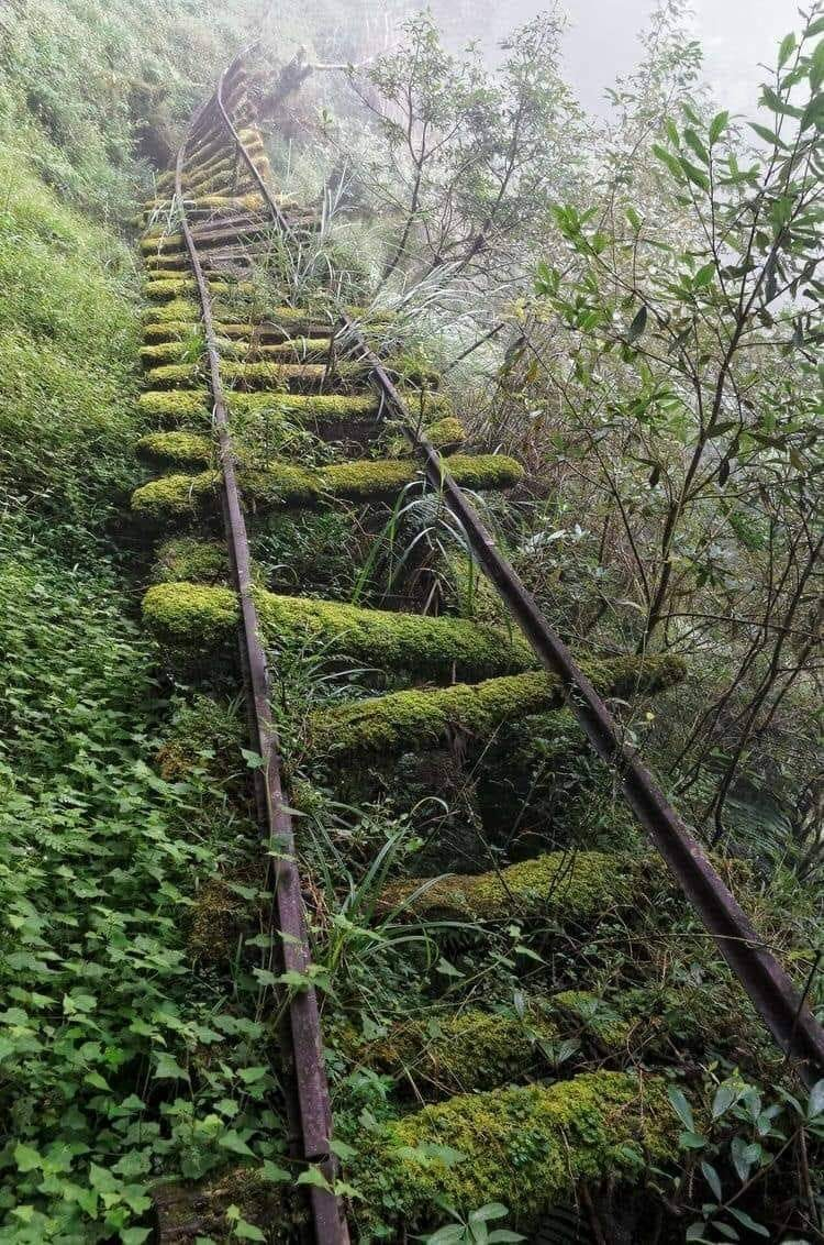 tracks.jpg