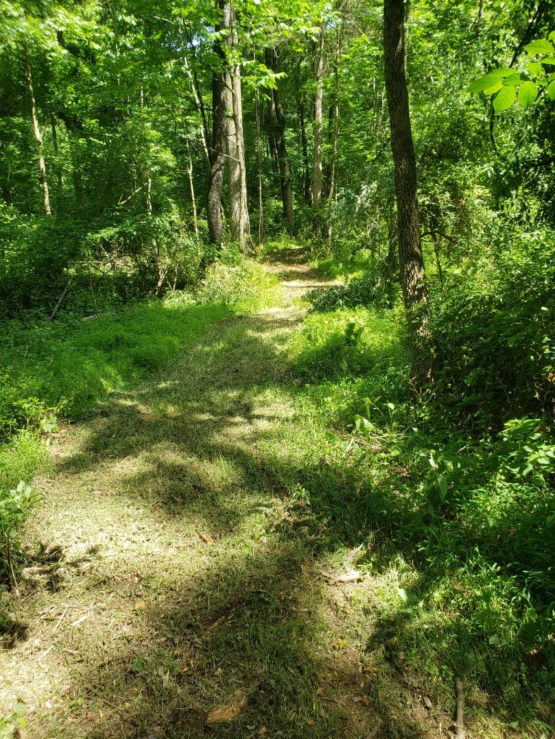 Trail1 20210618_151629.jpg