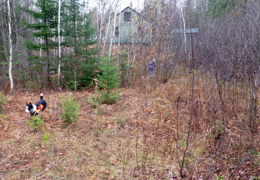 trailbobcamp408.jpg