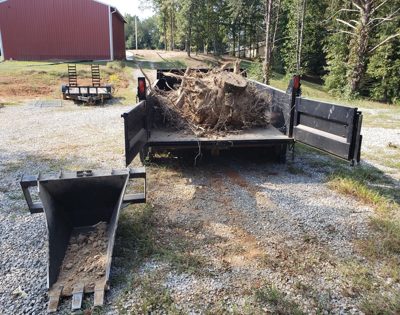Trailer of stumps.jpg