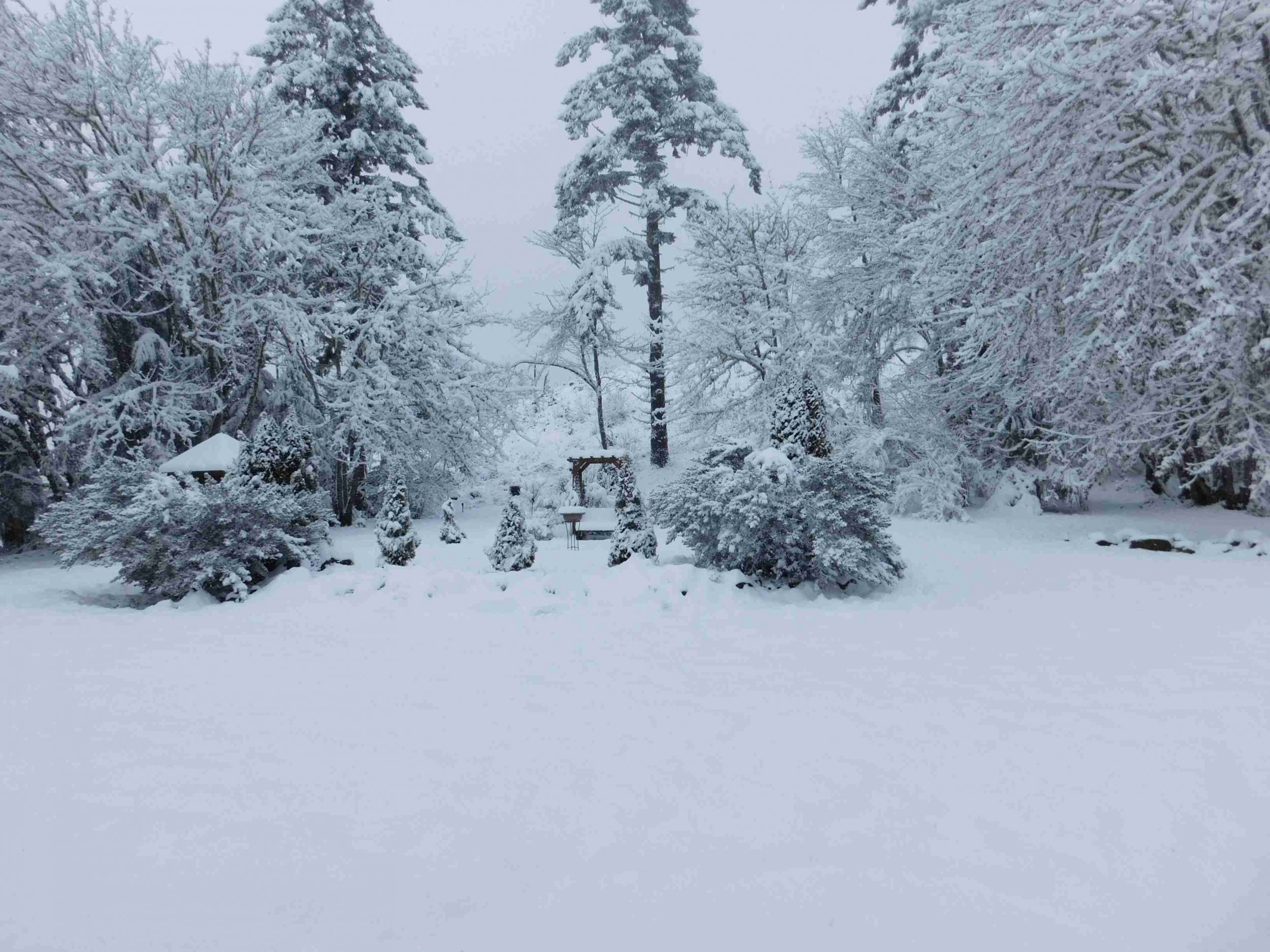 tranglewinter.jpg