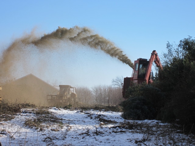 tree guys last day-chipping 020_1.JPG