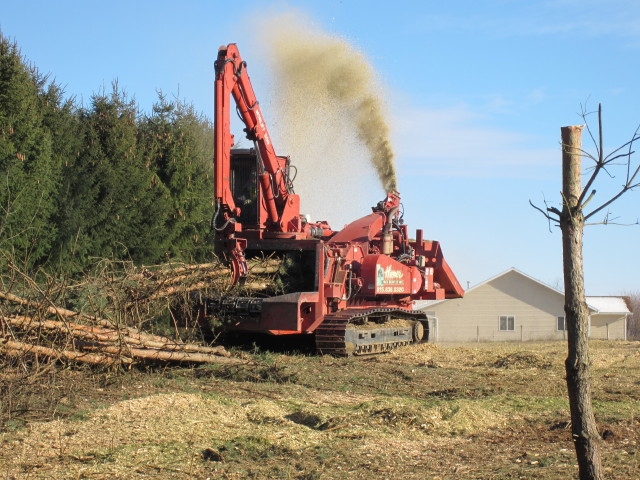 tree guys last day-chipping 025_1.JPG