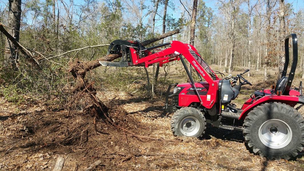 Tree uprooted small 2.jpg