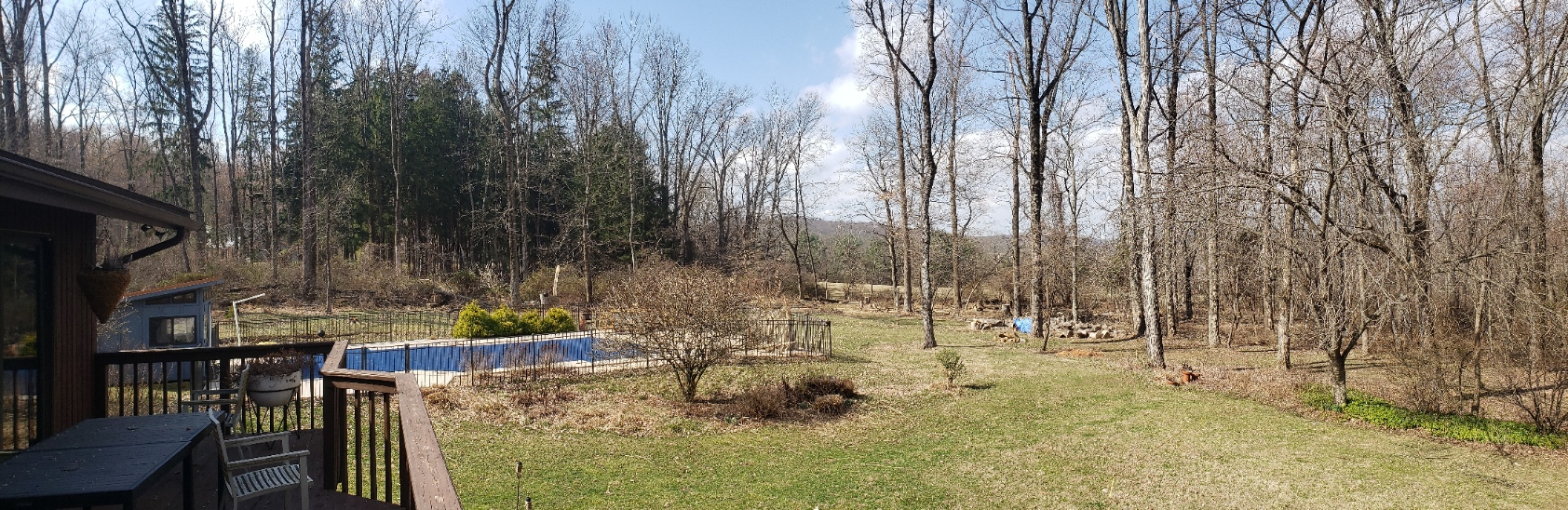 TreeClenup20220319_111854.jpg