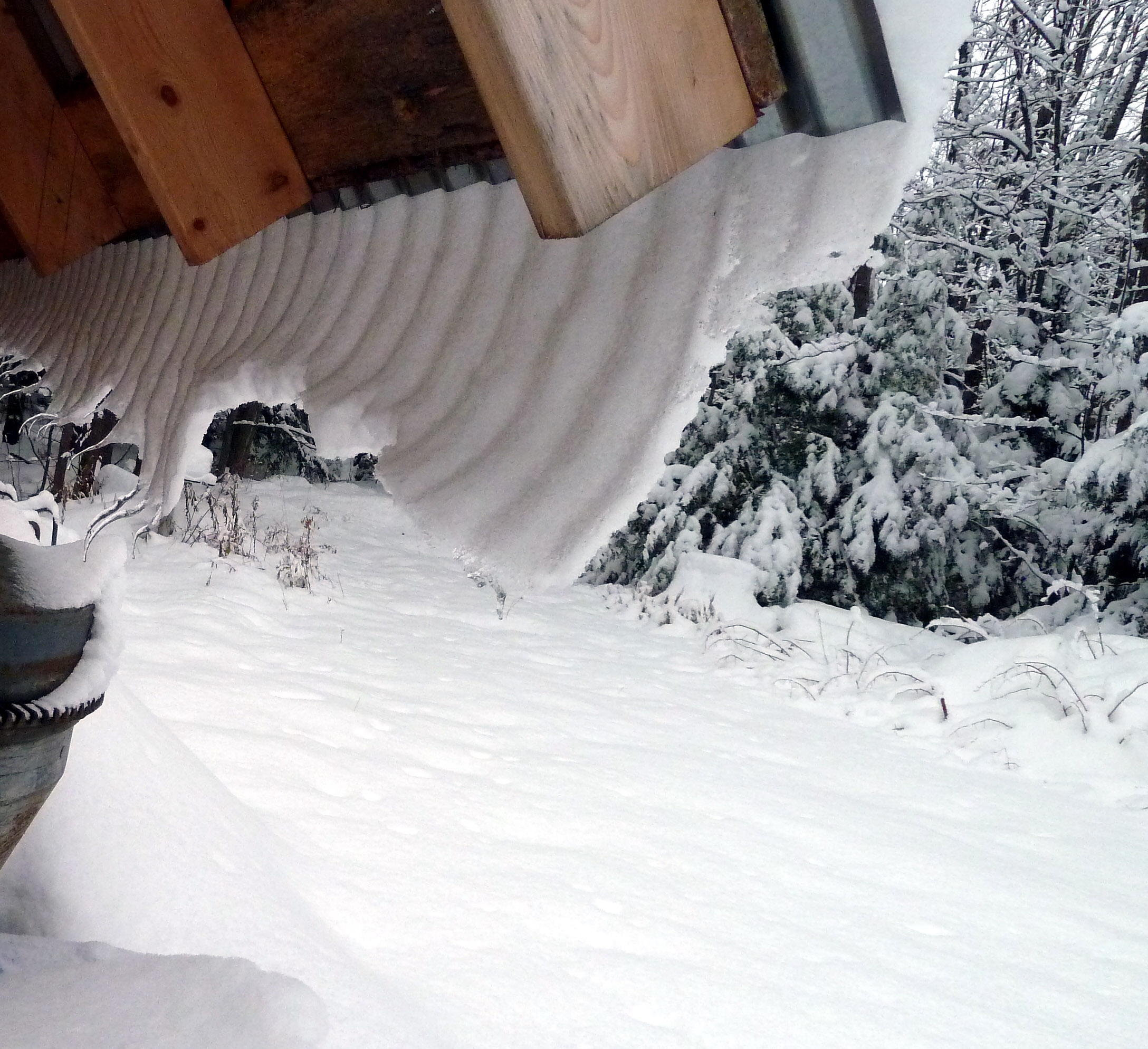 Twin lakes DNR roof snow.I.jpg