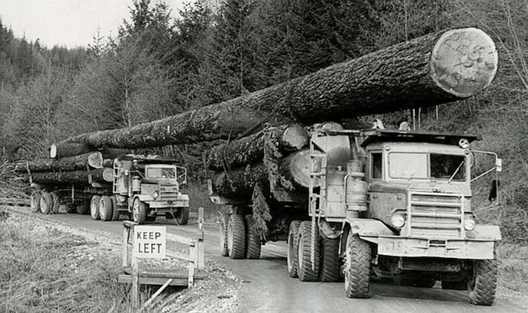 two-truck-log.jpeg