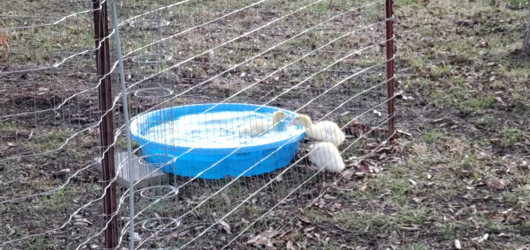 VideoCapture_20220319-192403.jpg