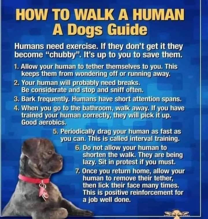 Walk a Human.jpg