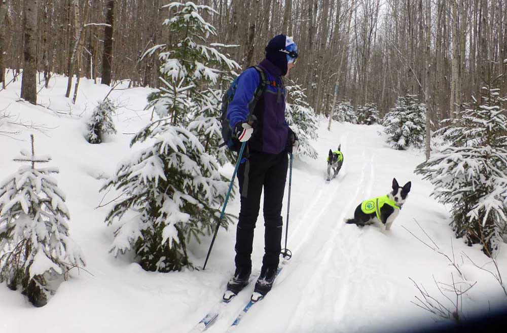 wallydollyski622.jpg