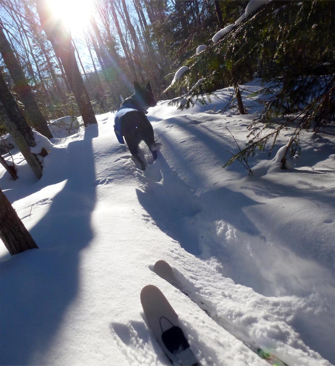 wallysnow0711.jpg