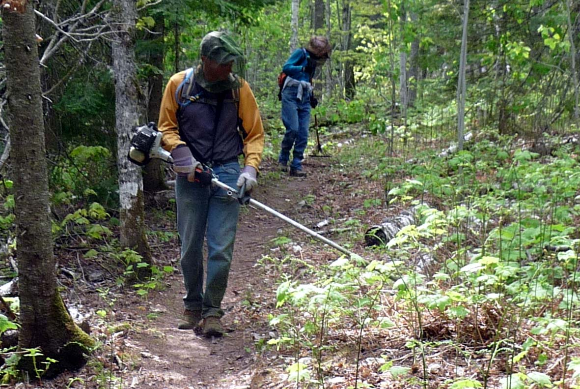 weed whacking CH (DL).jpg