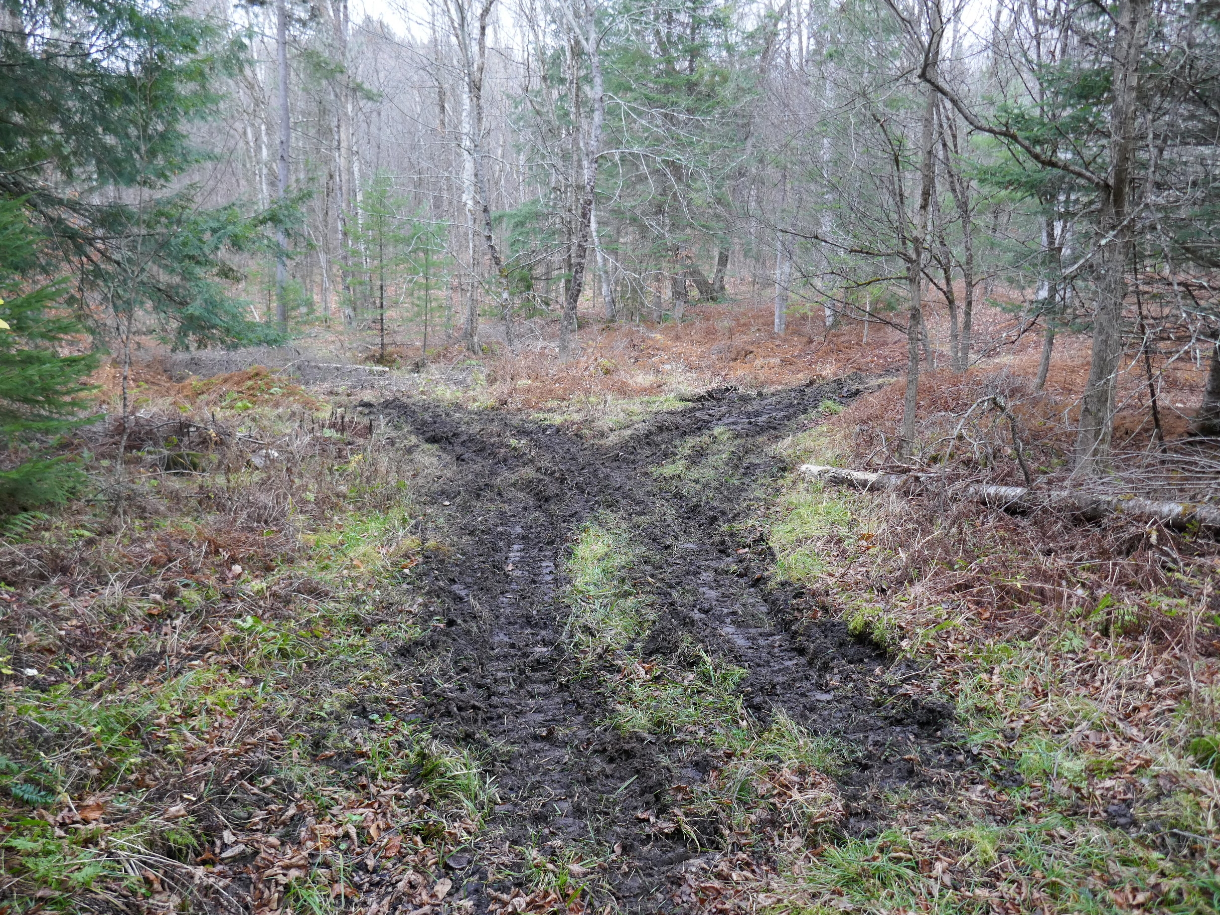 WetSpot-2.JPG