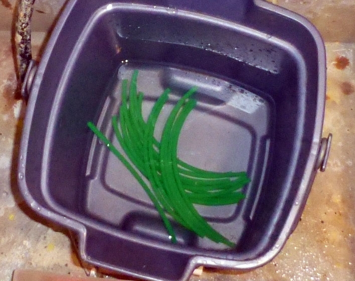wetstirngs862.jpg