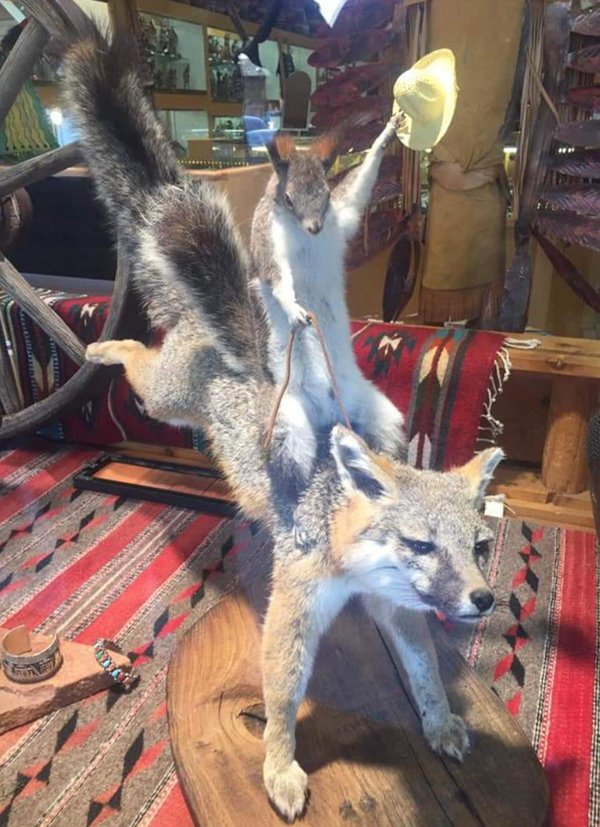 wild west.jpg