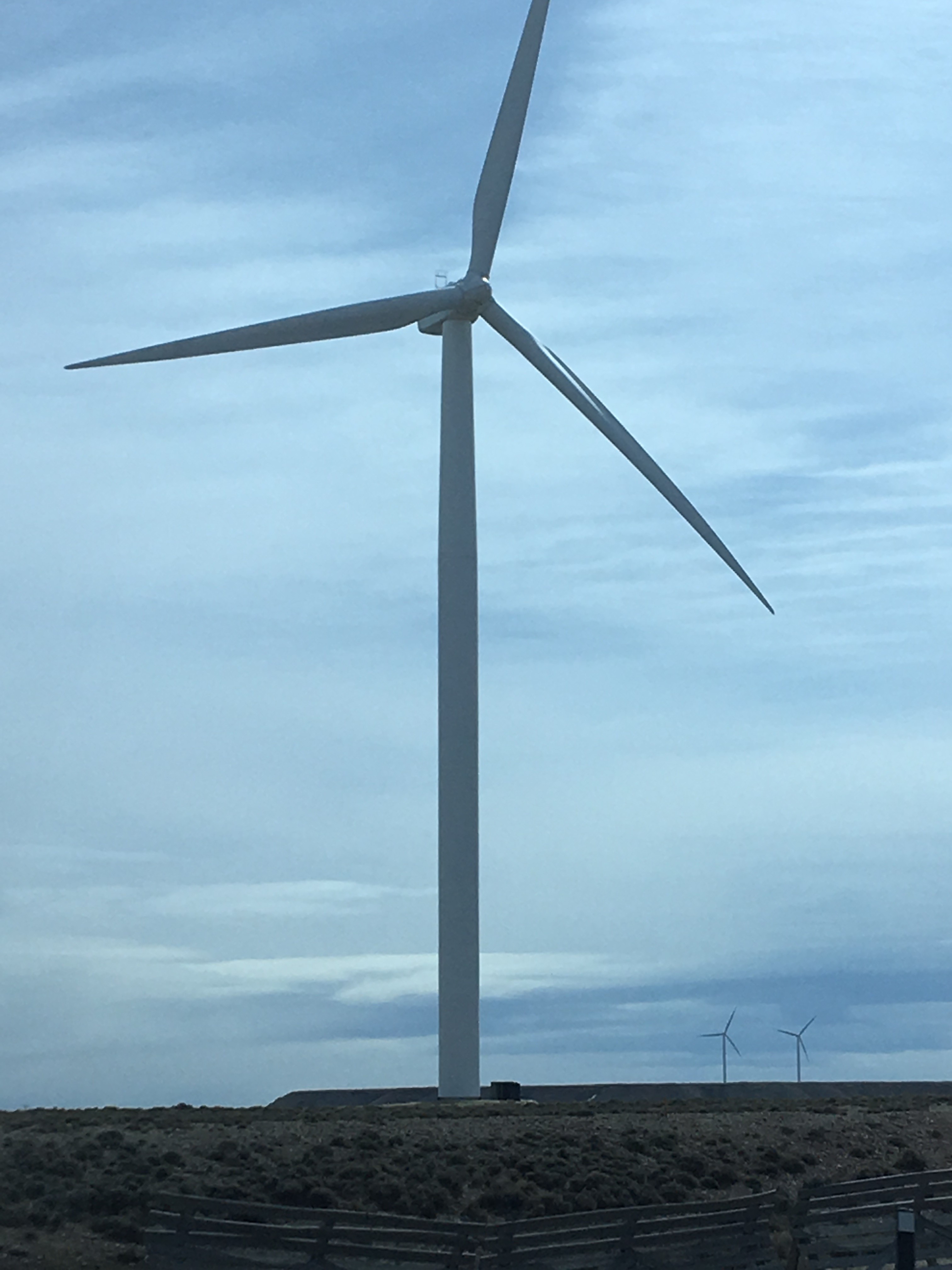 wind turbines (2).JPG