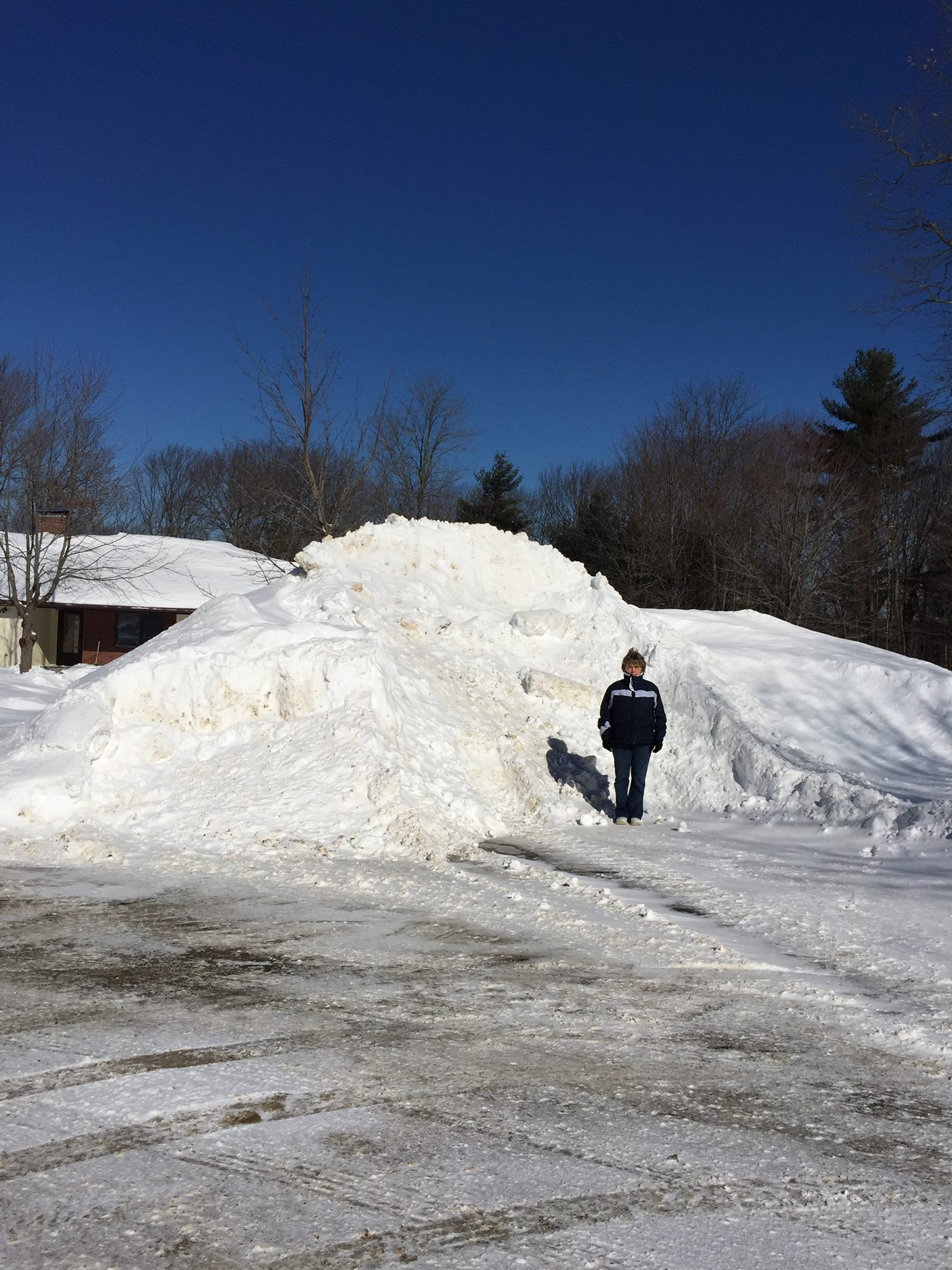 winter2016.jpg