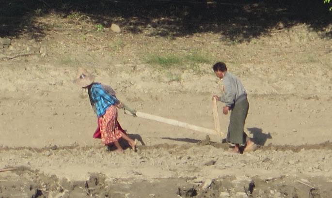 womanplowing.jpg