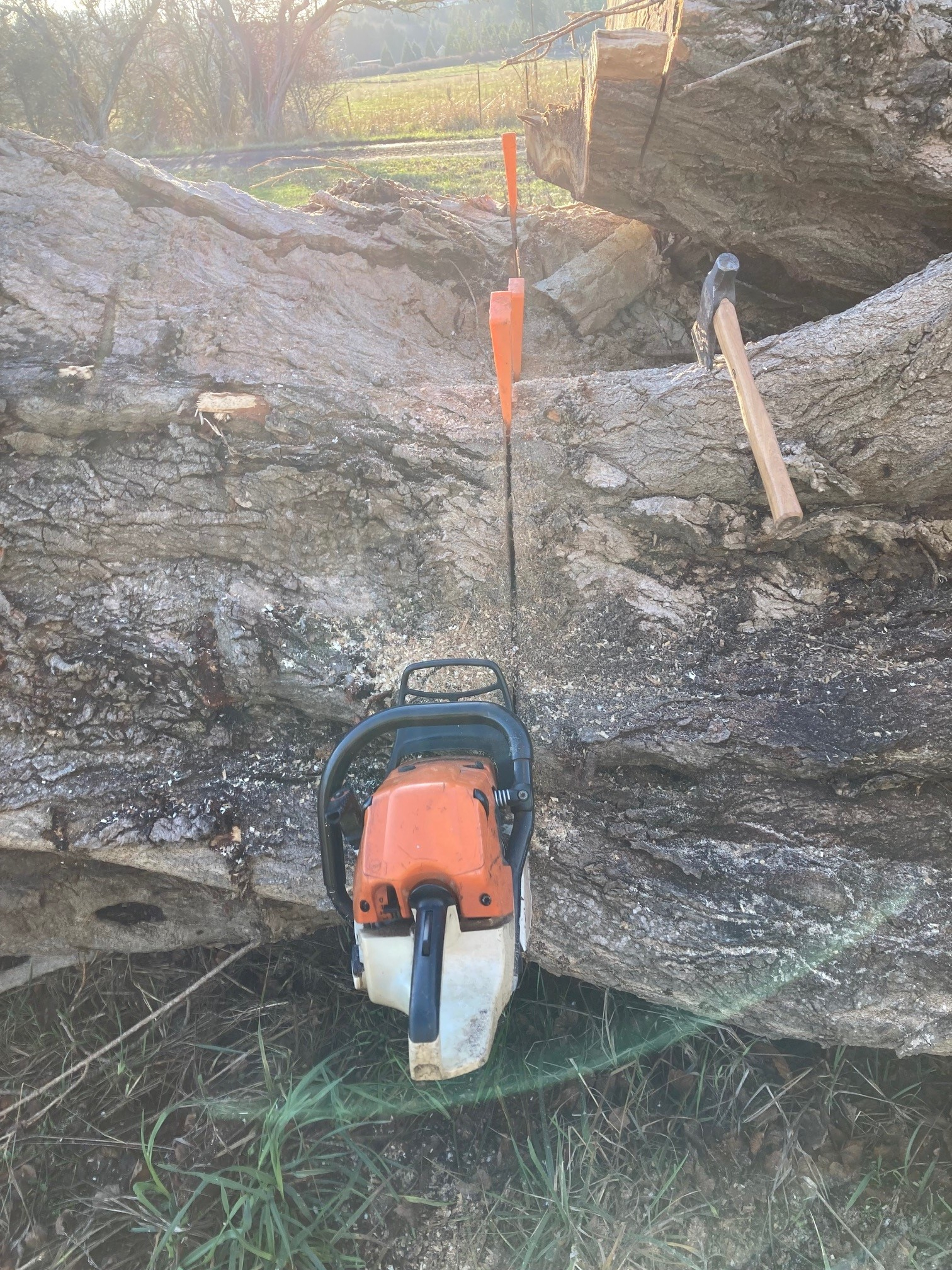 wood1.jpg