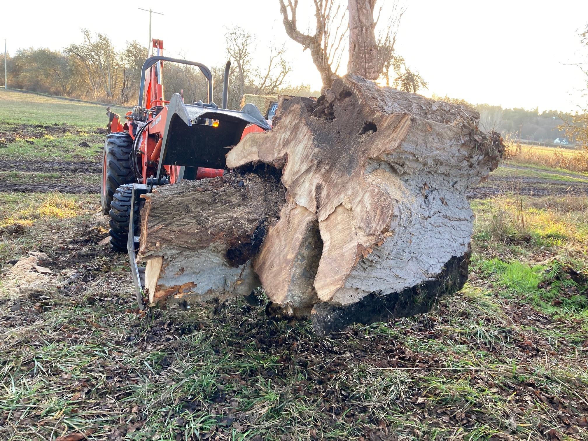 wood2.jpg