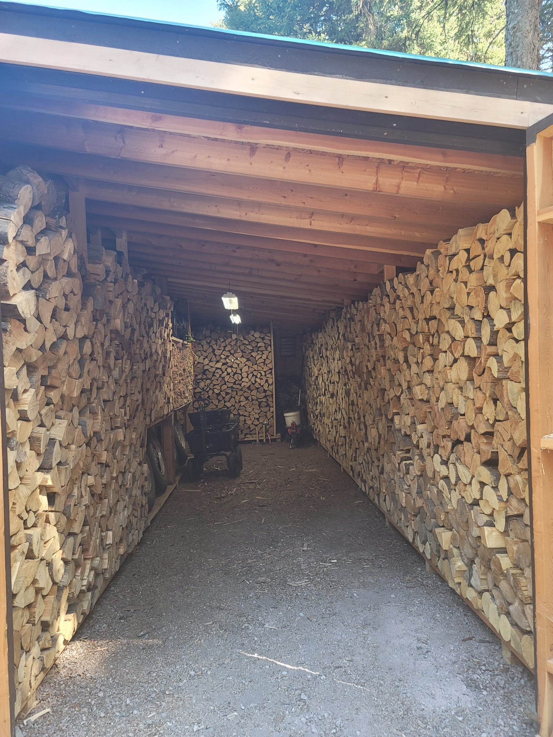 Woodshed 2022 looking into .jpg