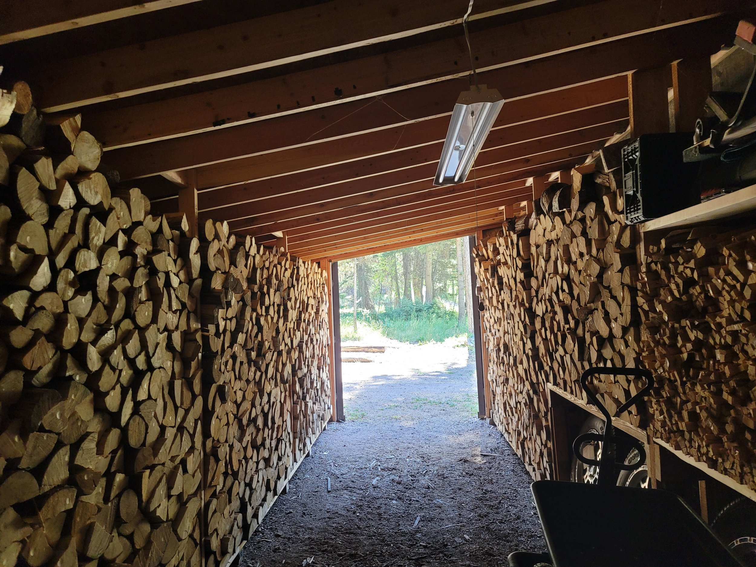 Woodshed 2022 looking out .jpg