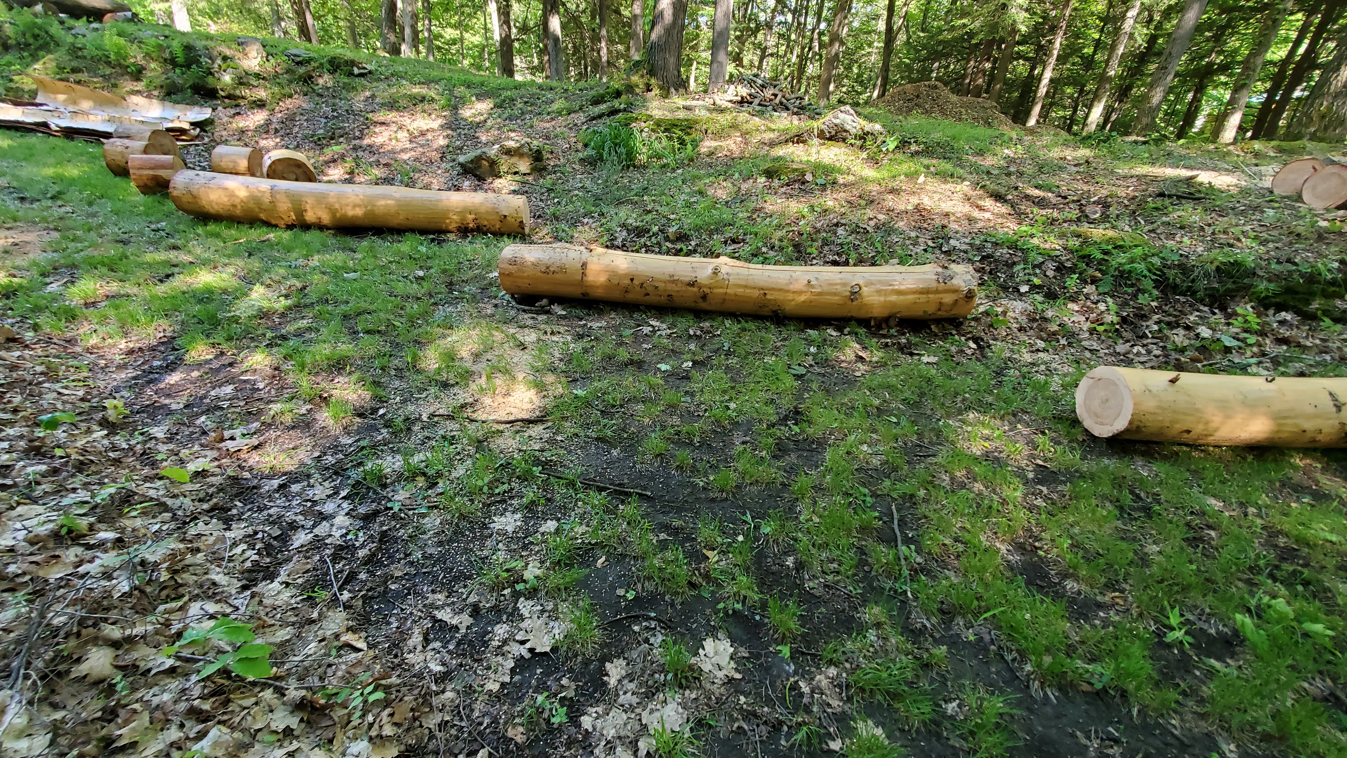 woodwork.jpg