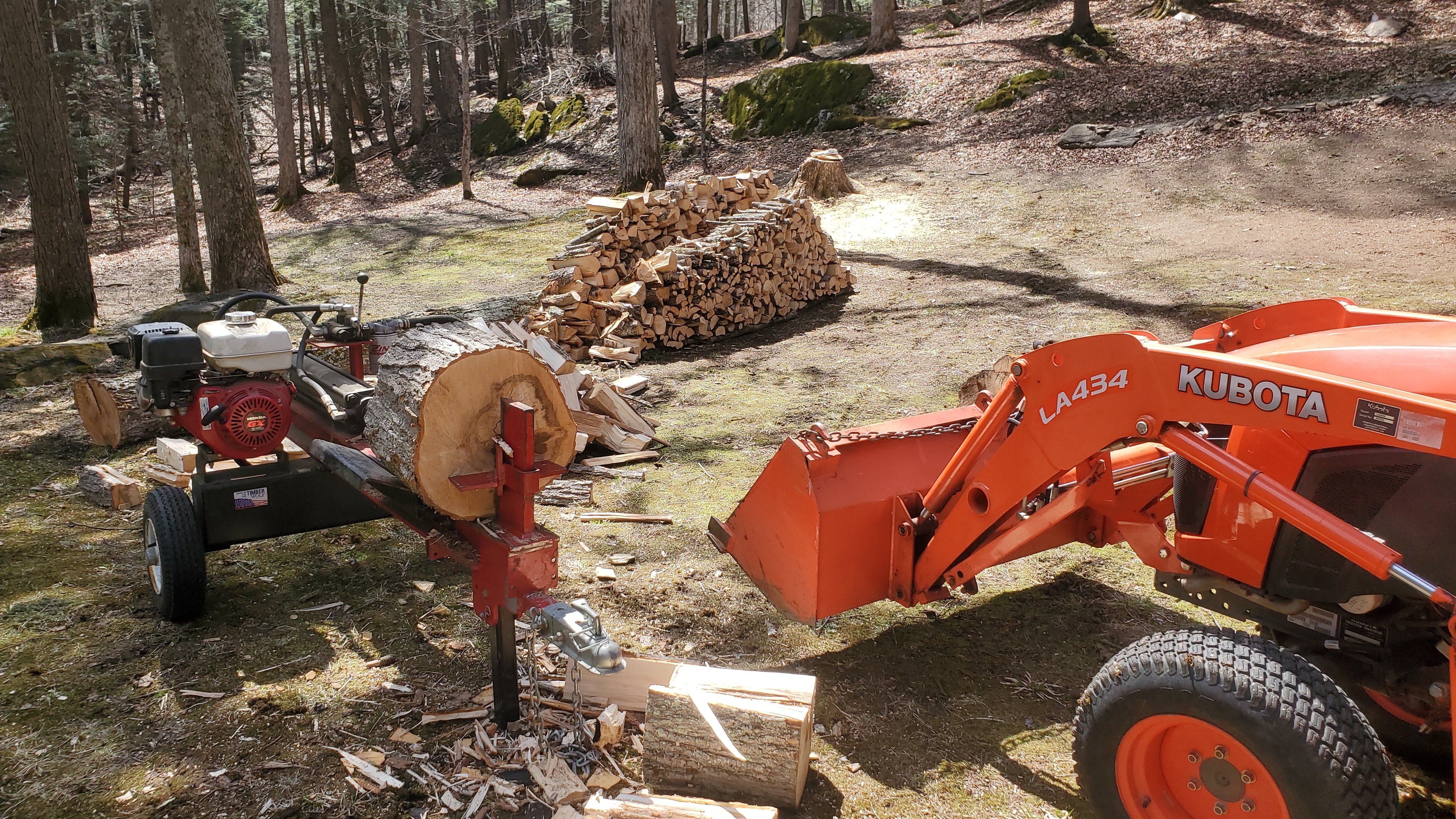 Working up maple.jpg