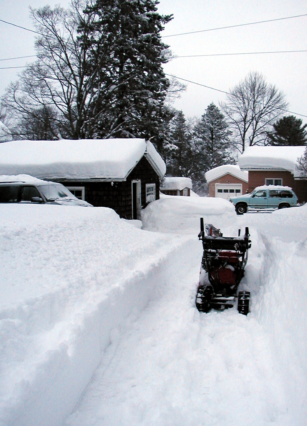 yard snow 2009.I.jpg