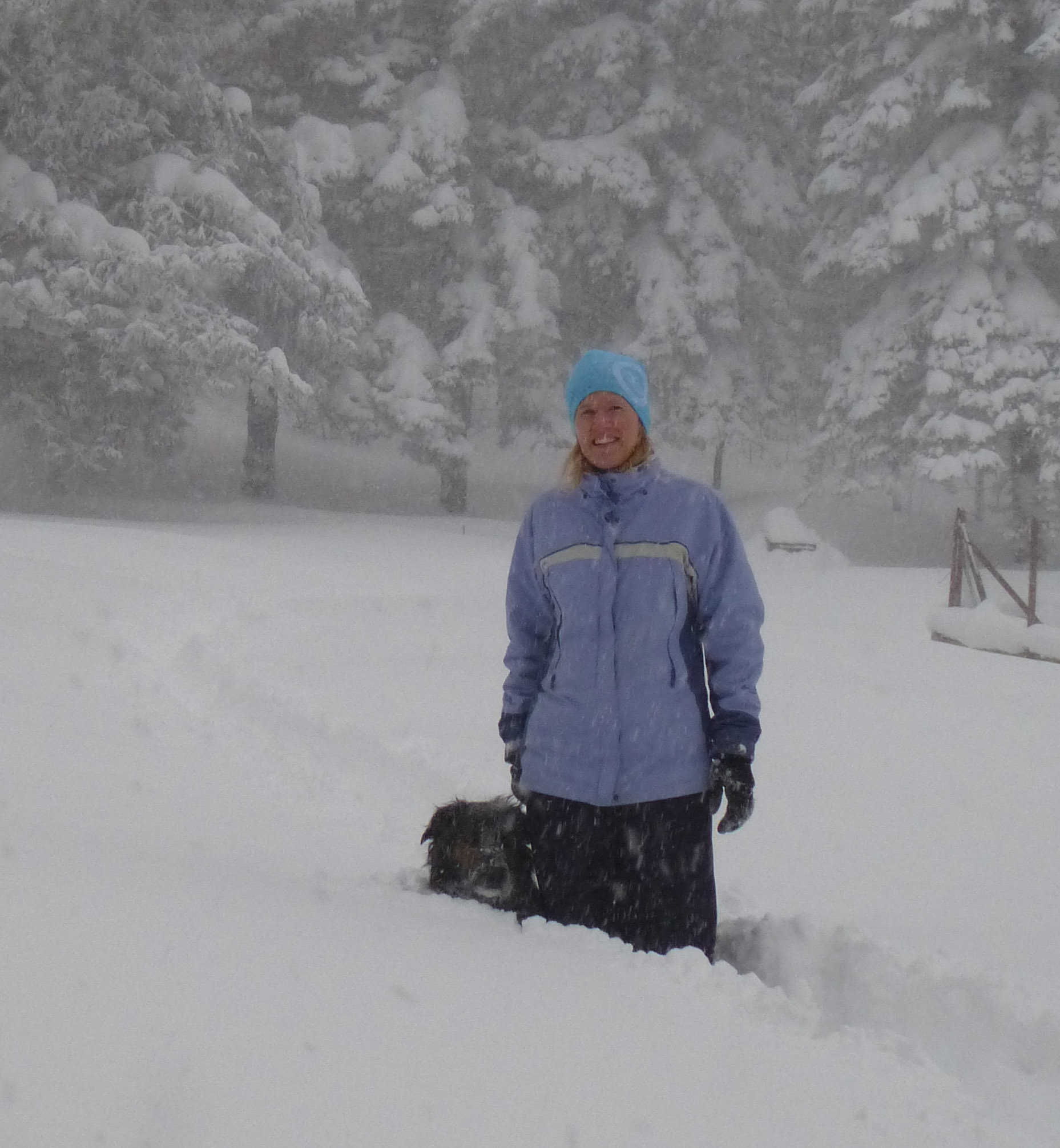 yard snow deep.jpg