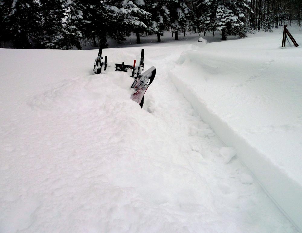 yard snow march (DL).jpg