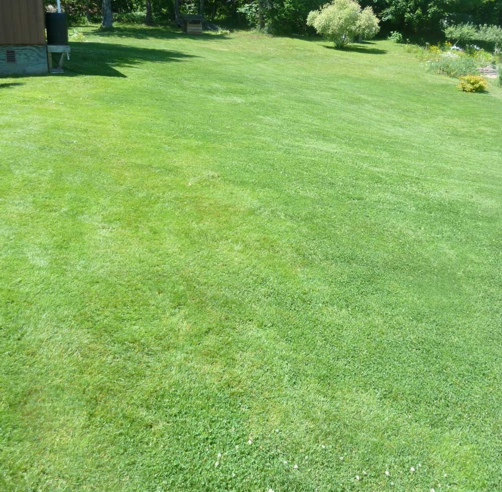 yardgood381.jpg
