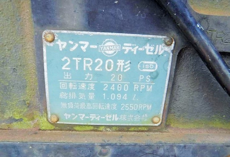 YM2000-tree-frog-2TR20.jpg
