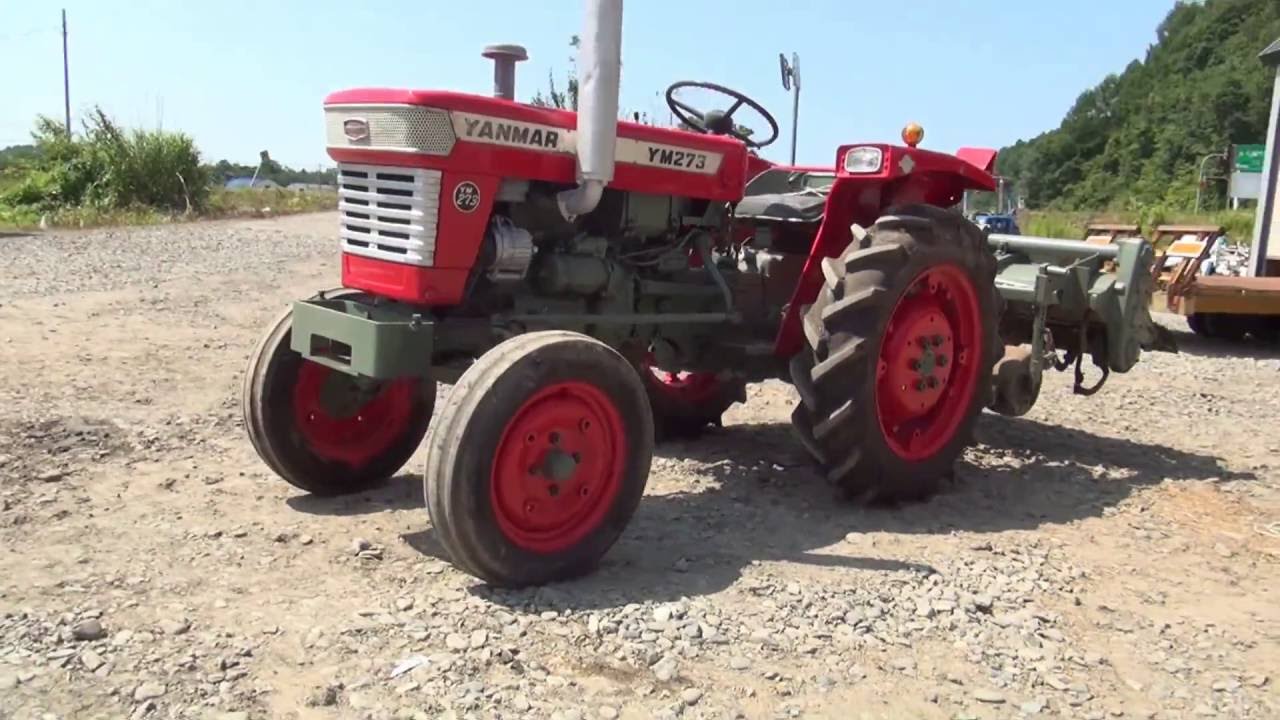 YM273.jpg