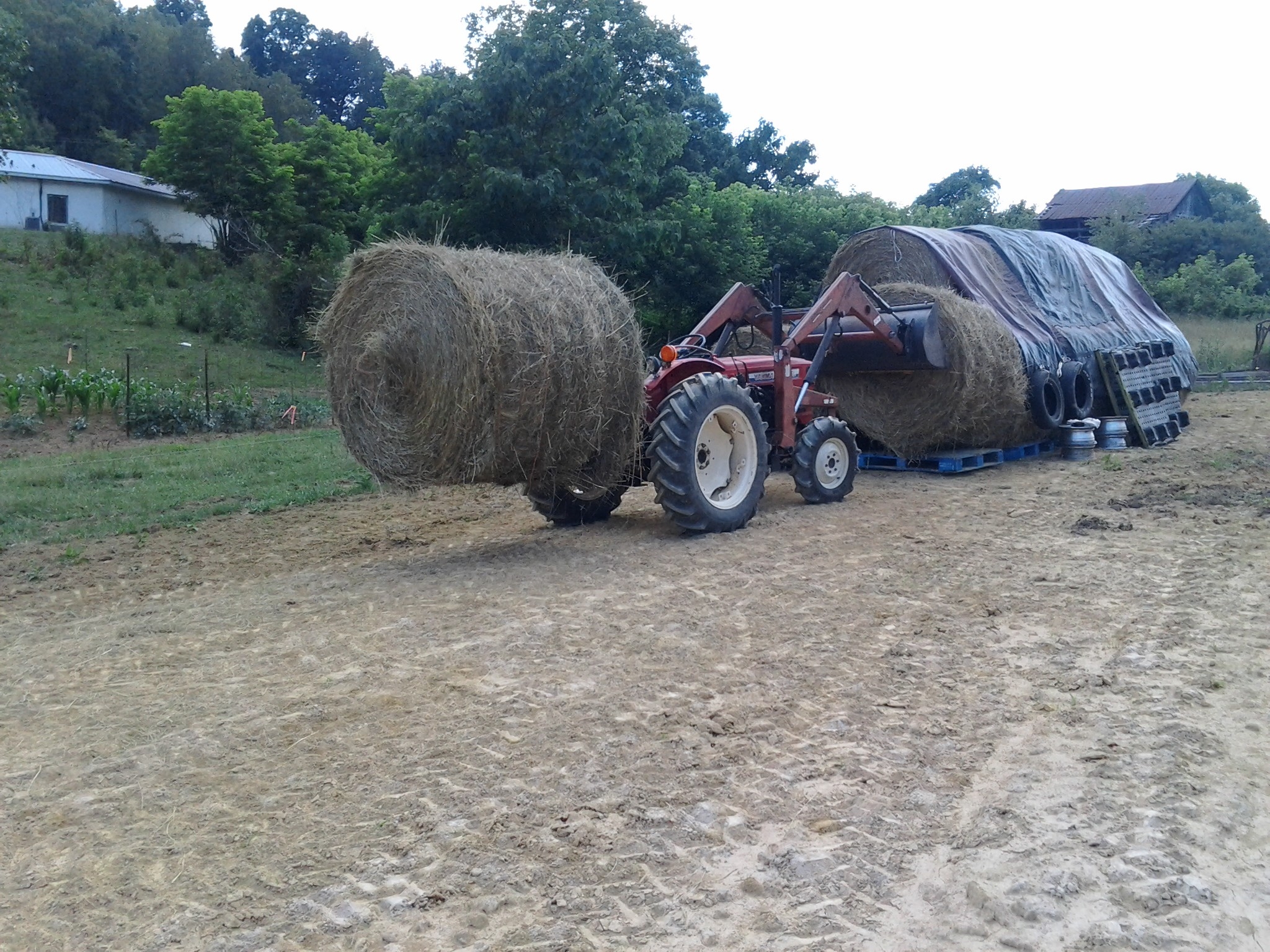 ym336D--2x-hay-bales.jpg