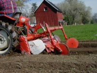 255518-yanmar tiller.jpg