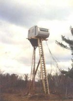 304433-Treehouse.jpg
