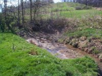 6-157335-Pond01.JPG