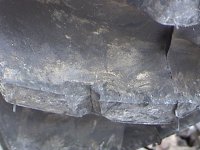 42-210017-Tire.jpg